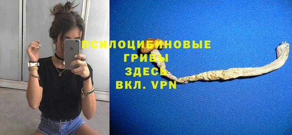 гашик Покачи