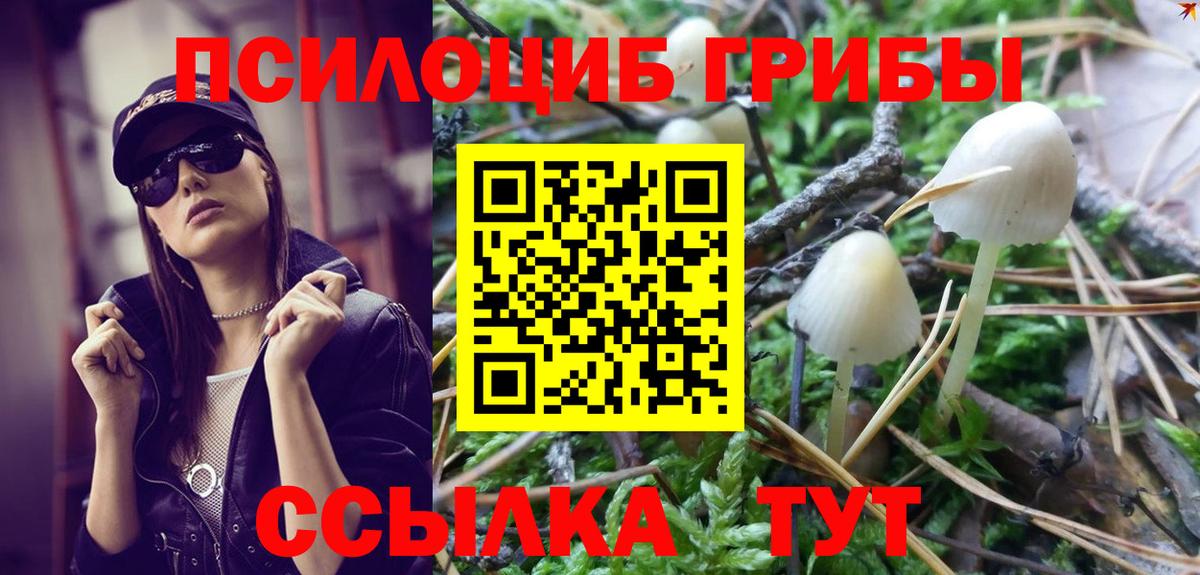 Галлюциногенные грибы Psilocybine cubensis  Вход с VPN  Луховицы 